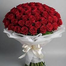 Букет 101 Красная роза Блэк Мэджик в Заволжье