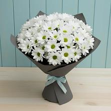 Букет цветов из:  Хризантемы #REPLACE_PRED# Заволжье