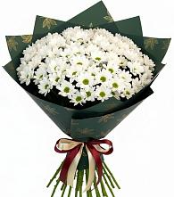 Букет цветов из:  Хризантемы в Заволжье