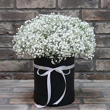 Цветочная композиция из Гипсофила в шляпной коробке #REPLACE_PRED# Заволжье