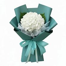 Букет цветов из:  Гортензия #REPLACE_PRED# Заволжье